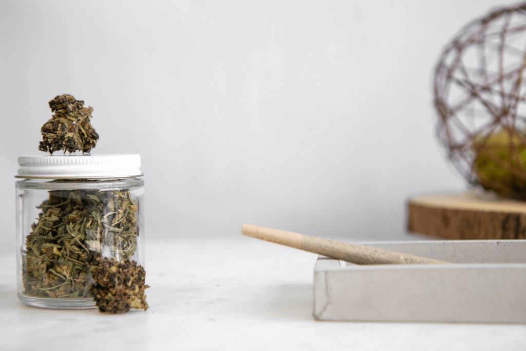 What Is Cannabis? A Comprehensive Guide to Understanding Cannabis