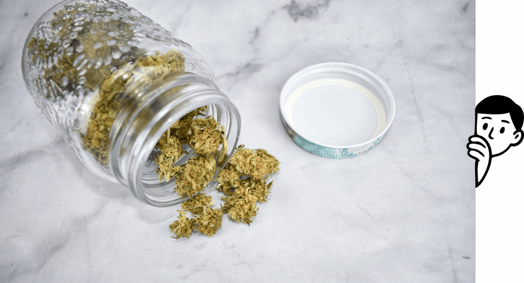 Storing Cannabis the Right Way - The dispensary of NJ